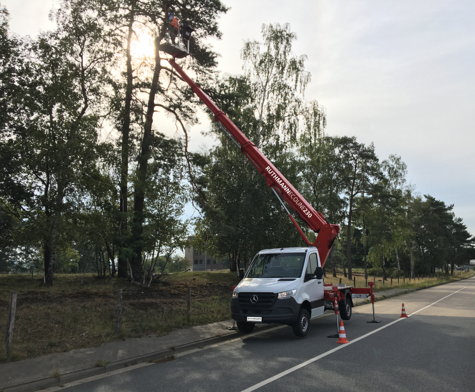 RUTHMANN ECOLINE 230 LKW-Arbeitsbühne im Baumschnitt